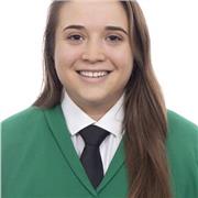 de cualquier asignatura hasta nivel de bachillerato, y luego cualquiera de nivel universitario de magisterio